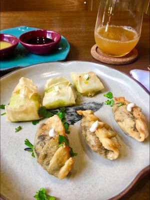 Gyoza (mushroom filled) and the most delicate samosas at Justo Restaurant in Medellin