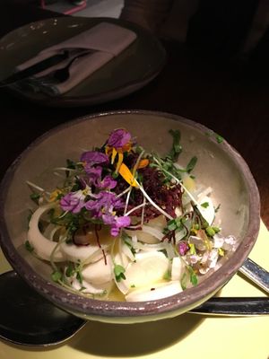 Vegan cheviche  at Justo Restaurant in Medellin