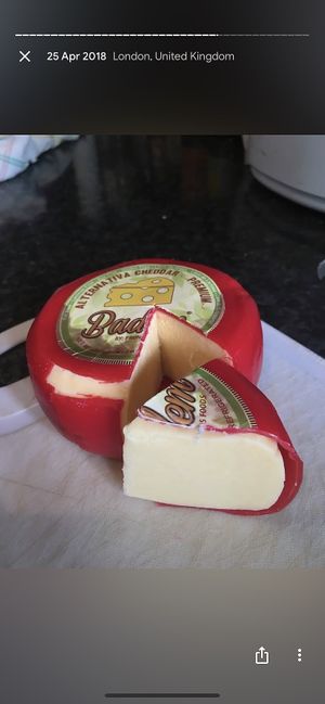 This almond cheese taste LITERALLY just like real cheese, it melts and stretches 100000/10 at Justo Restaurant in Medellin