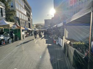 Looking down-road, from the top of the Farm Gate Market   at Farm Gate Market in Hobart