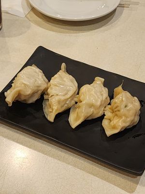 Gyoza at Hinode in Sao Paulo
