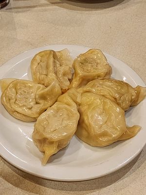 Gyoza at Hinode in Sao Paulo