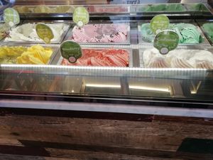 Selection of vegan ice creams at Loop & Scoop in Glasgow