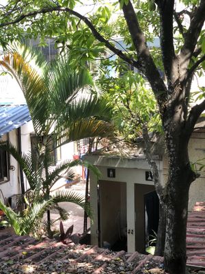 Toilet   at Ecran Noodles in Kampot