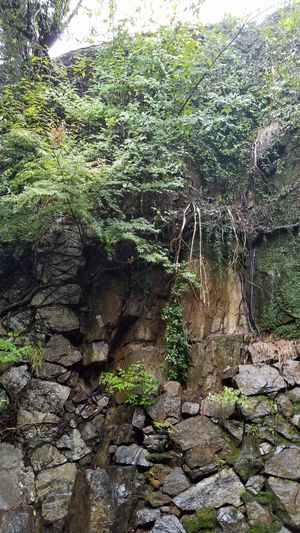 outside area 1f at Cafe Nature in Kurashiki