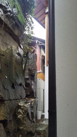 back patio view at Cafe Nature in Kurashiki