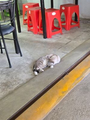  at Vegetarian Food - Amphoe Thalang in Phuket