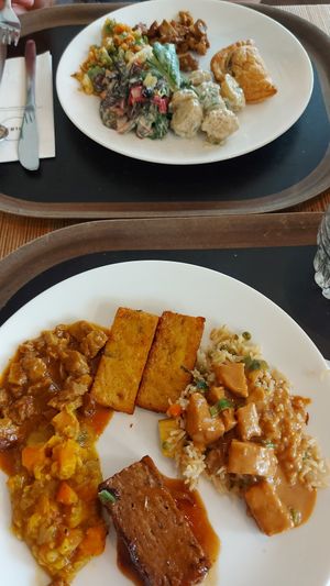 Hartige vegan lunch at Spirit in Rotterdam