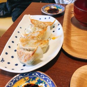 Pig free Gyoza at Veggie House in Chiba