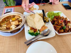 Claypot Tofu, Signature Fried Rice and Kungpao Hericium at D'life 蔬食 - Toa Payoh  in Central Singapore