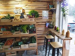 L'arbre bleu at L'Arbre Bleu in Montpellier