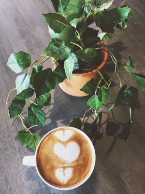 Latte art at Uncommon Grounds in Grand Rapids