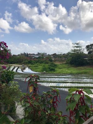 View  at Crate Cafe in Canggu