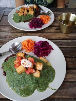 Palak Paneer, tasty and a bit spicy (normally served with a pita bread). at 108 Eatery in Ho Chi Minh City