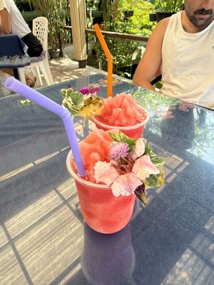   at Thai Herb in Khao Sok