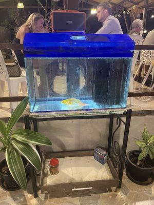   at Thai Herb in Khao Sok