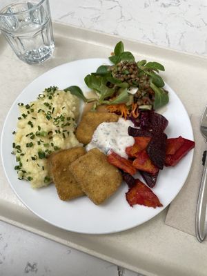   at Ginko in Graz