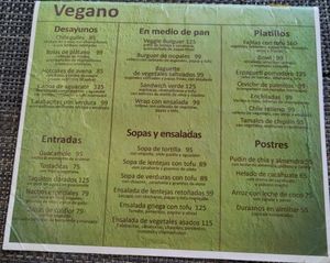 Vegan options at Jardin La Reserva Restaurante in San Cristobal De Las Casas