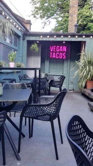 Beer garden at The Spread Eagle in East London