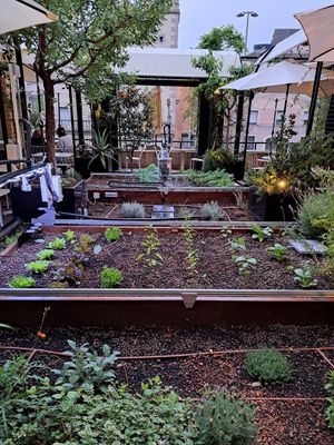  at Flax & Kale - Sant Pere Mes in Barcelona