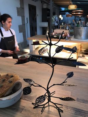 tree  at El Invernadero de Rodrigo de la Calle in Madrid