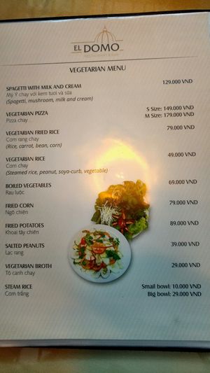 El Domo. Vegetarian menu pages at HAN - El Domo - Int Terminal  in Hanoi