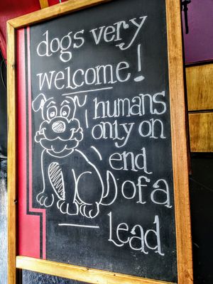 J'adore ! at The 13th Note in Glasgow