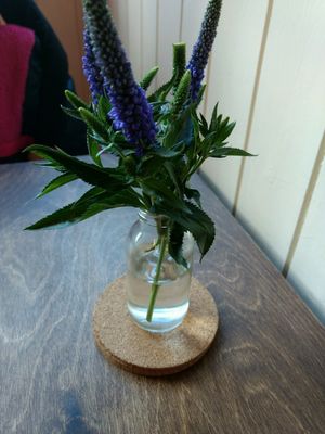 fresh at One Sixty in Burnley