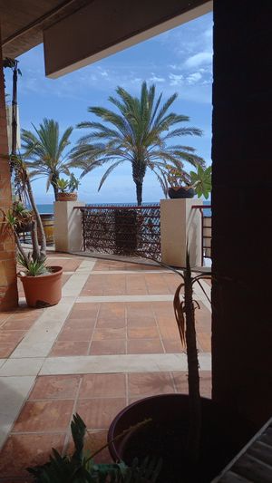 view at Aloha Cafe in Sesimbra