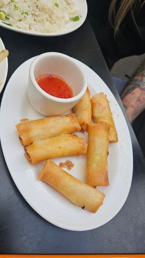 Spring rolls at Chinese Noodle House in Haymarket