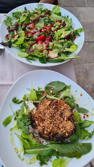  at Laguna Libre in Venice