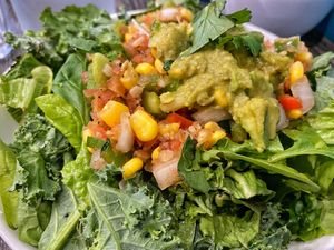 Mexi-bowl on bed of greens   at Planted in Hamilton in Hamilton