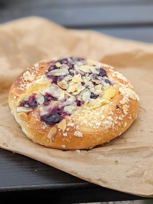 Black currant at Zaczyn in Krakow