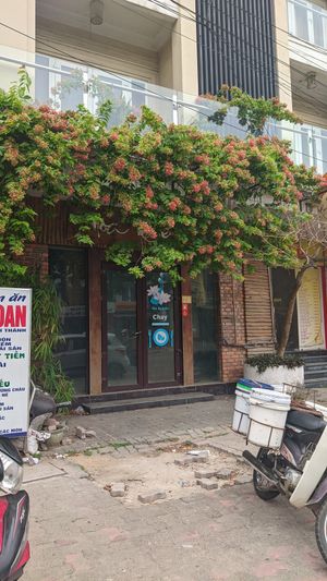  at Hoa Nghiem in Hue