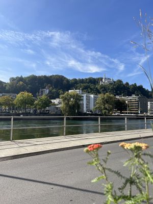 View  at Karls Kraut in Luzern