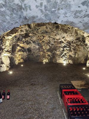  at Karls Kraut in Luzern