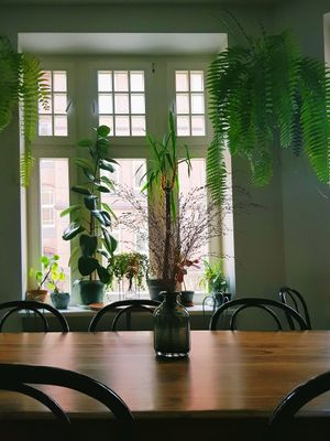 interior at ALE Kosmos in Poznan