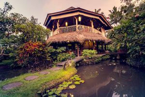 Dragonfly village  at Dragonfly Cafe in Ubud