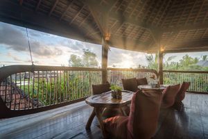 Dragonfly village  at Dragonfly Cafe in Ubud