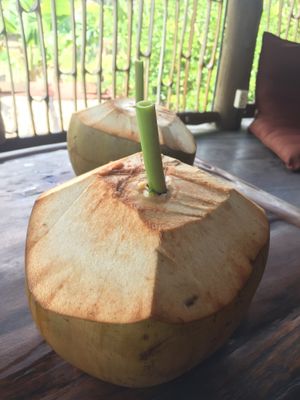 Coconut at Dragonfly Cafe in Ubud