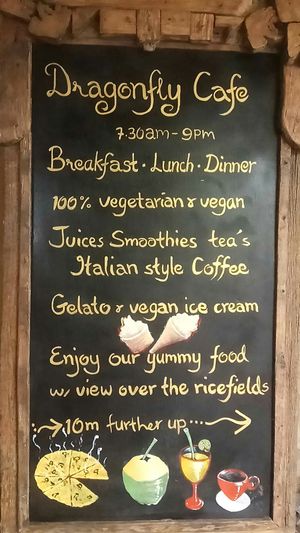 Dragonfly Café 
Open to the general public daily from 7.30am – 9pm (Fibre Optic Wifi available)

The Cafe opens for Breakfast, Lunch and Dinner.
Kitchen is vegetarian and vegan only.
Healthy organic and vegan treats. Wifi available.

We can prepare all meals to support retreat groups.

Our Dragonfly organic garden close by in the rice fields is growing happy greens for our kitchen. at Dragonfly Cafe in Ubud