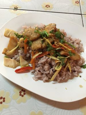 Vegan pork with ginger over rice at Ming Zhen in Chiang Mai