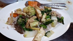 Fried mushrooms on rice =) at Ming Zhen in Chiang Mai