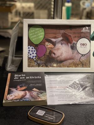   at Alive in Barcelona