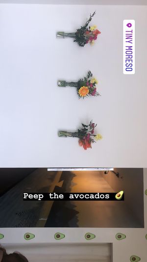 Inside decor  at Tiny Moreso in Portland