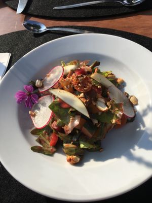 Starter salad.  at V-mOnd in Thun