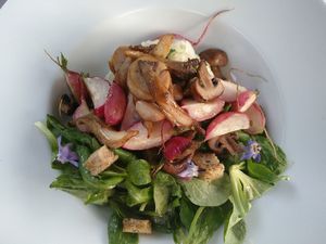 Weisskohl, Pilze, Nüsslisalat & Radisli at V-mOnd in Thun