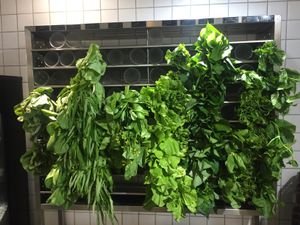 Vegetables! at Xiǎng Shū ZhíRén 饗蔬職人 - VegesM - West District in Taichung