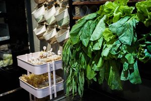 veggies at Xiǎng Shū ZhíRén 饗蔬職人 - VegesM - West District in Taichung