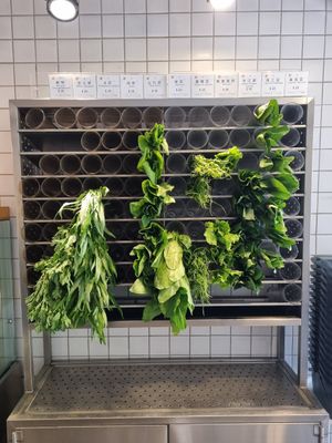 Selection of extremely fresh vegetables at Xiǎng Shū ZhíRén 饗蔬職人- VegesM - North District - Maybe closed in Taichung